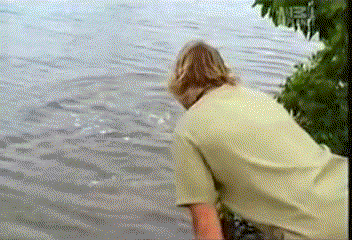 Steve Irwin